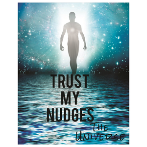 [Poster] Trust My Nudges.. The Universe xoxo